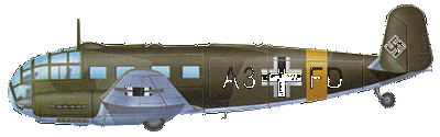 Камуфляжная окраска транспортного самолета Siebel Si 204